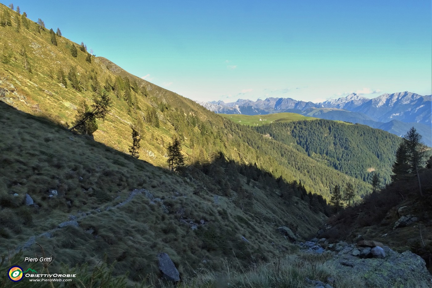 80 Superata la Baita Nicola scendendo si entra nel bosco.JPG